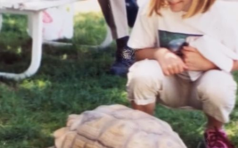 小姐姐没有龟龟